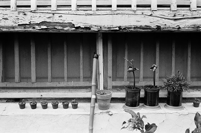 M-Rokkor.40_bw_007