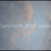 image host