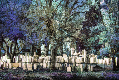 free photo edit