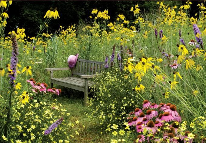 Bed Head - Purposefully unstyled outdoor spaces are the result of intentionally working within the natural landscape.#gardentrend