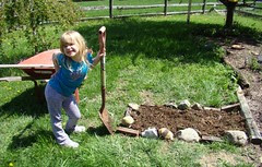 Lorelei and the Bug Pit