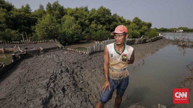 Tambak Bandeng Terakhir di Pesisir Utara Serang (EMBGO-3)