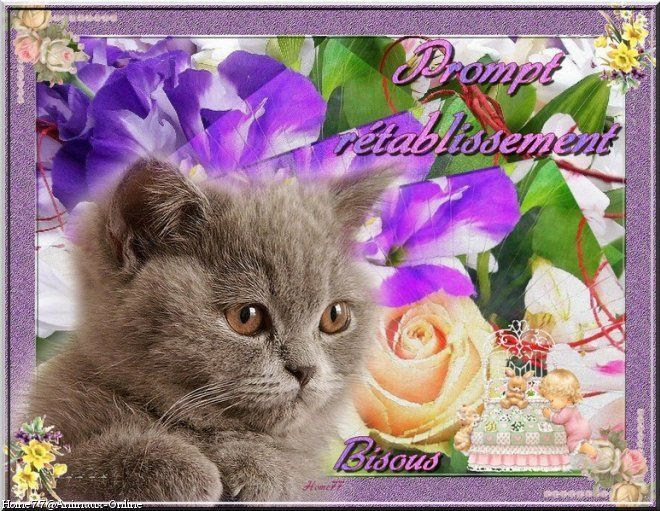 Bon Retablissement