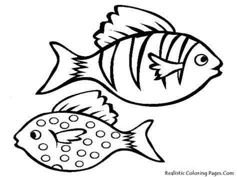 aquarium fish printable coloring sheet realistic