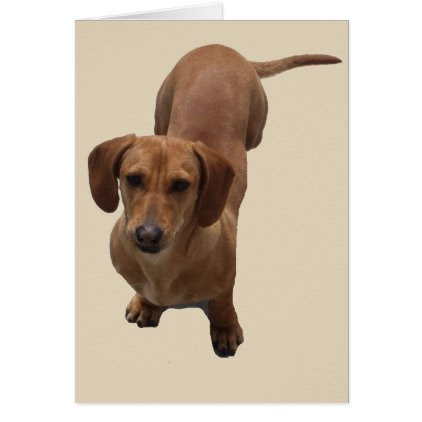 Dachshund Card
