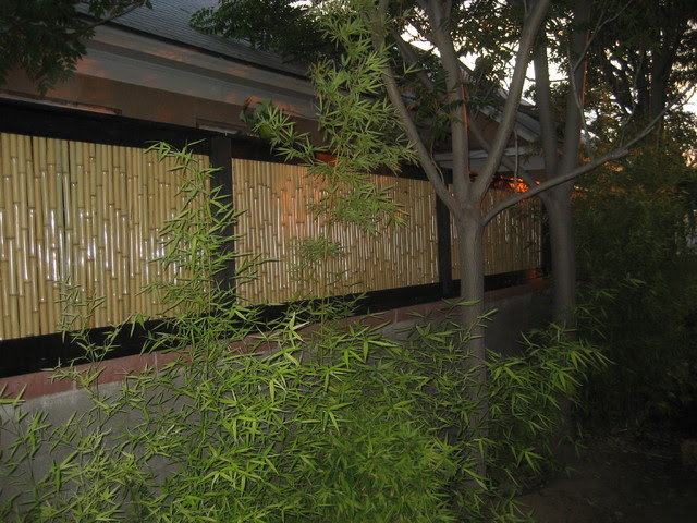 Bamboo Fencing Tropical san diego by Backyard XScapes Inc. Bamboo Fencing Tropical san diego by Backyard XScapes Inc.