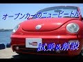 [最新] フォルクスワーゲン 可愛い 車 外車 250707