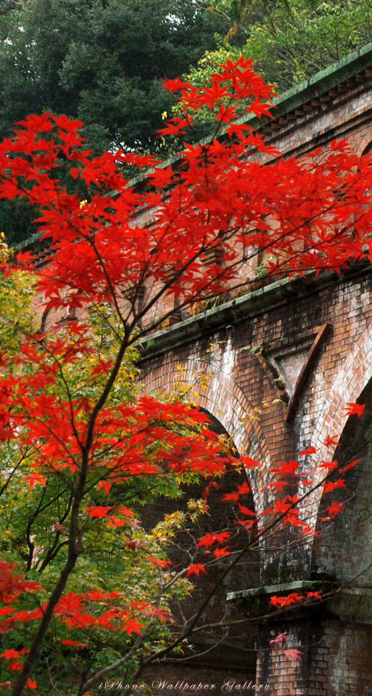 Iphone5 壁紙館 名所 旧跡 京都の紅葉 10 Iphone Wallpaper Alpine