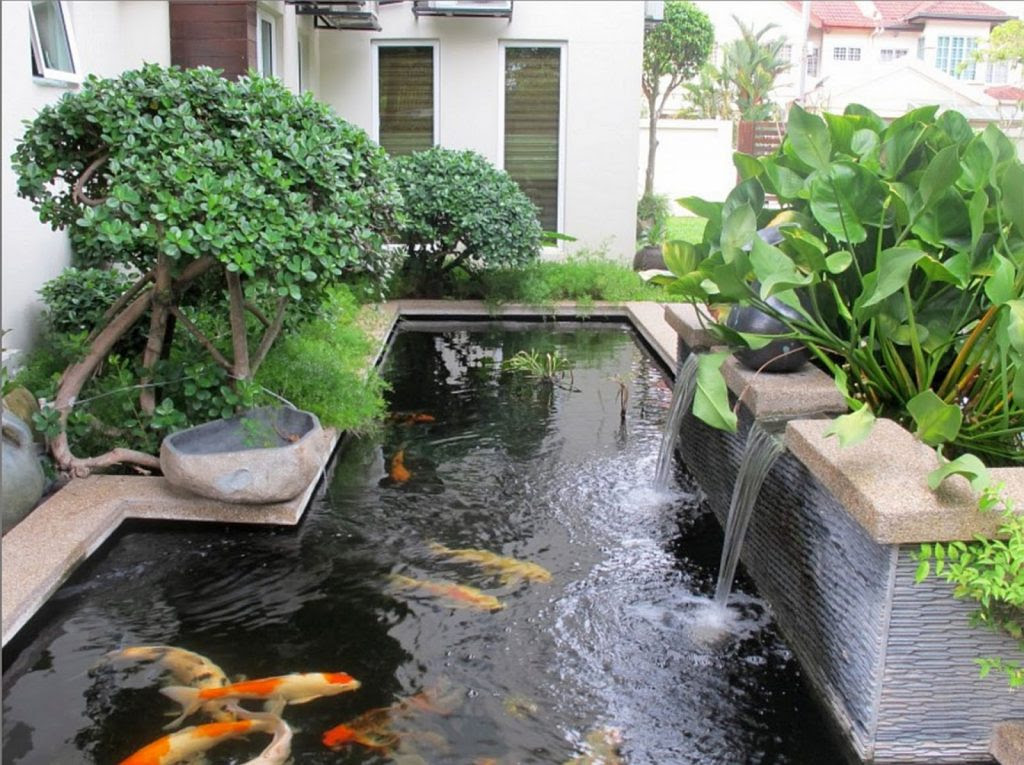 Taman Belakang Rumah Minimalis  Lahan Sempit Terbaru