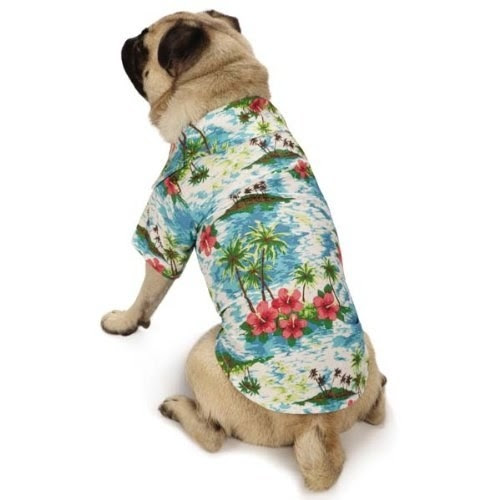 Give your pup major dad-on-vacation vibes with a snazzy Hawaiian-print shirt.