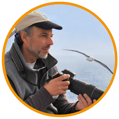 Ocean Conservation Society: Help Protect Our Oceans Today