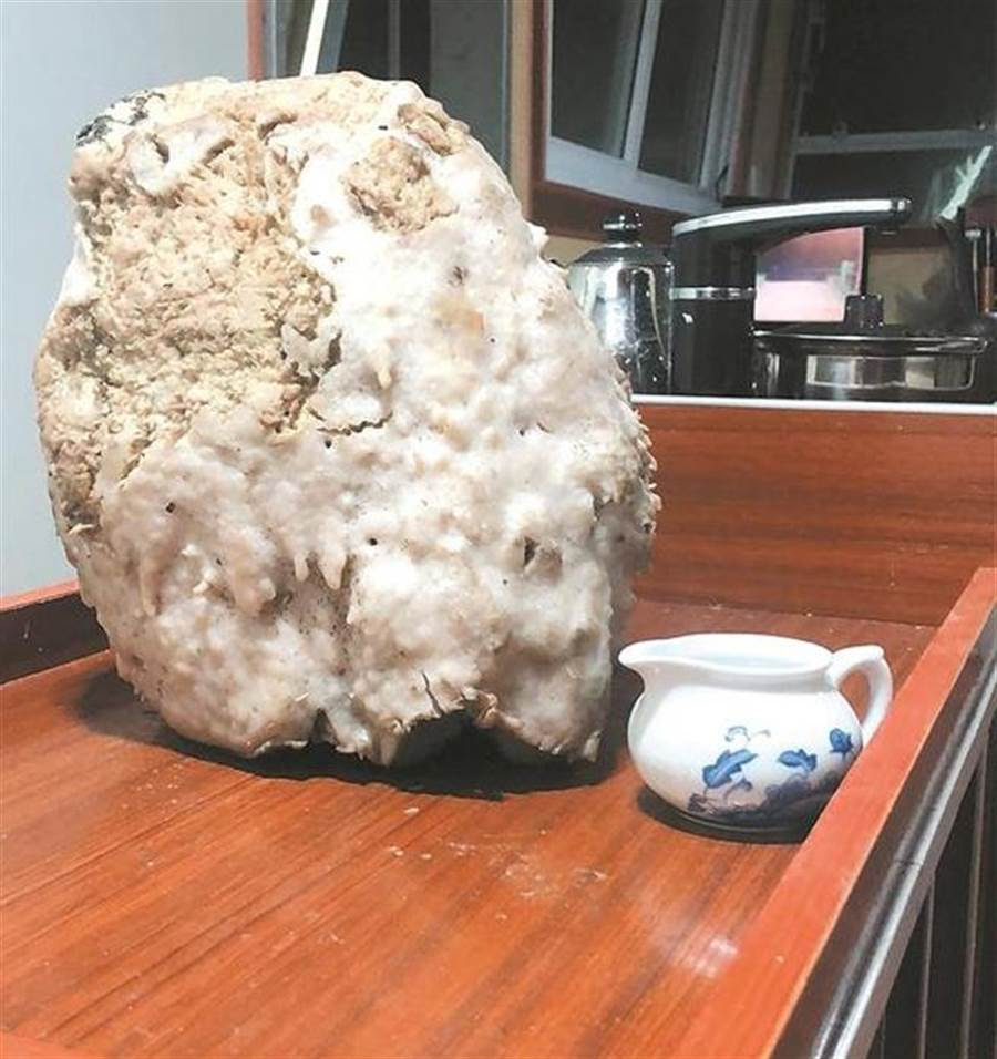 台灣撿到最貴的糞便~~龍涎香 價值六百萬 - Arts & Life News 藝術生活新聞網