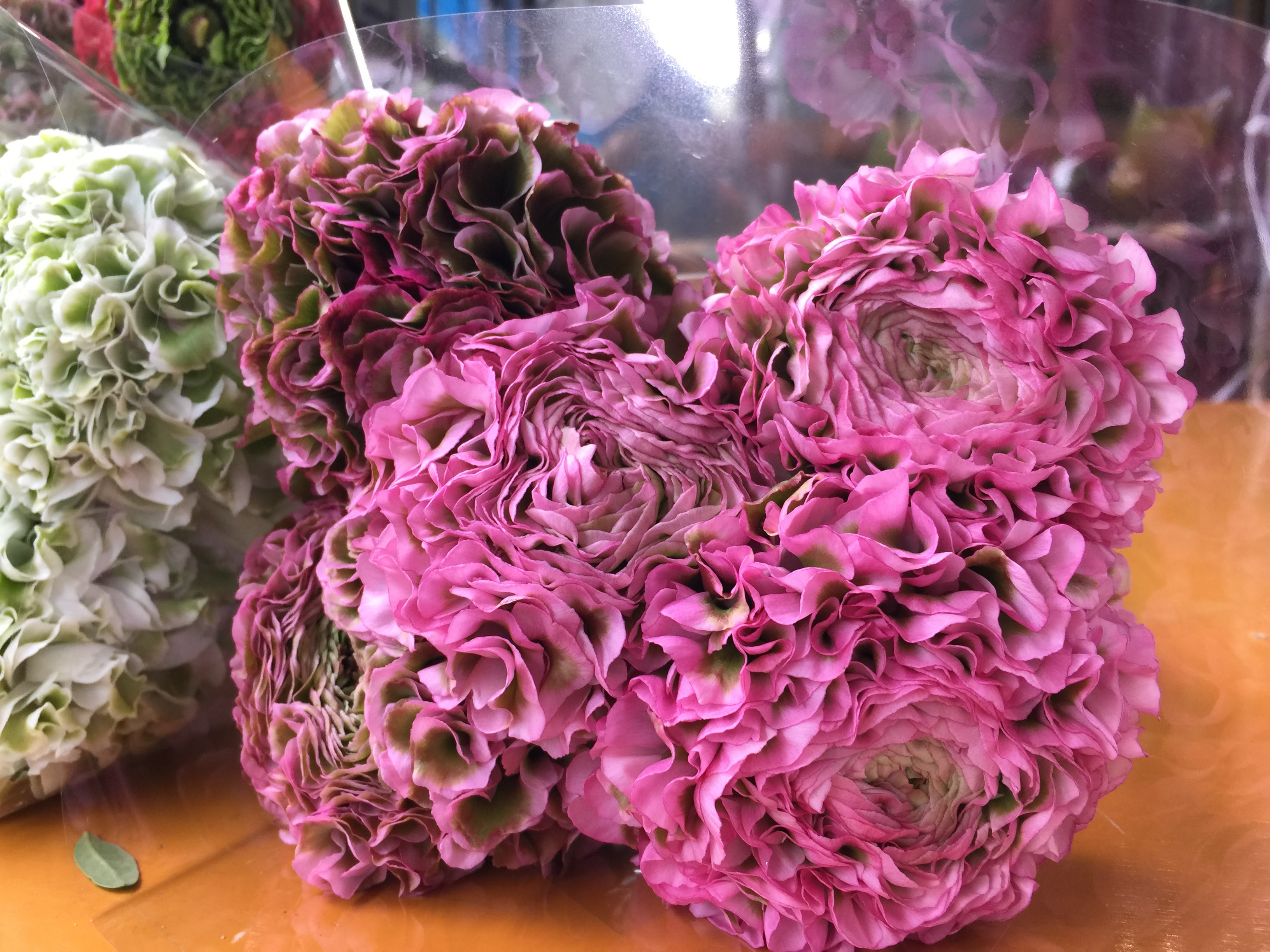 ｐｏｎｐｏｎシリーズ続編 花市場の仲卸 大森花卉 おおもりかき