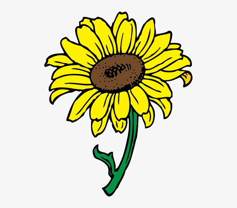 Download Sun Drawing Images | Free download on ClipArtMag