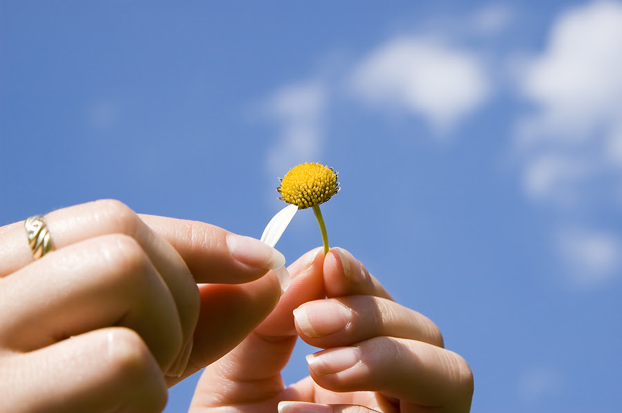 Jenningswire The World Of Success