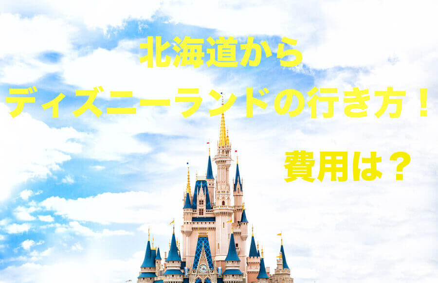 北海道からディズニーランド 予算や費用はいくら 安い時期や格安ツアーは あそびば北海道