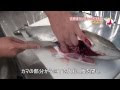 √ かんぱち 刺身 カロリー 255416-カンパチ 刺身 カロリー
