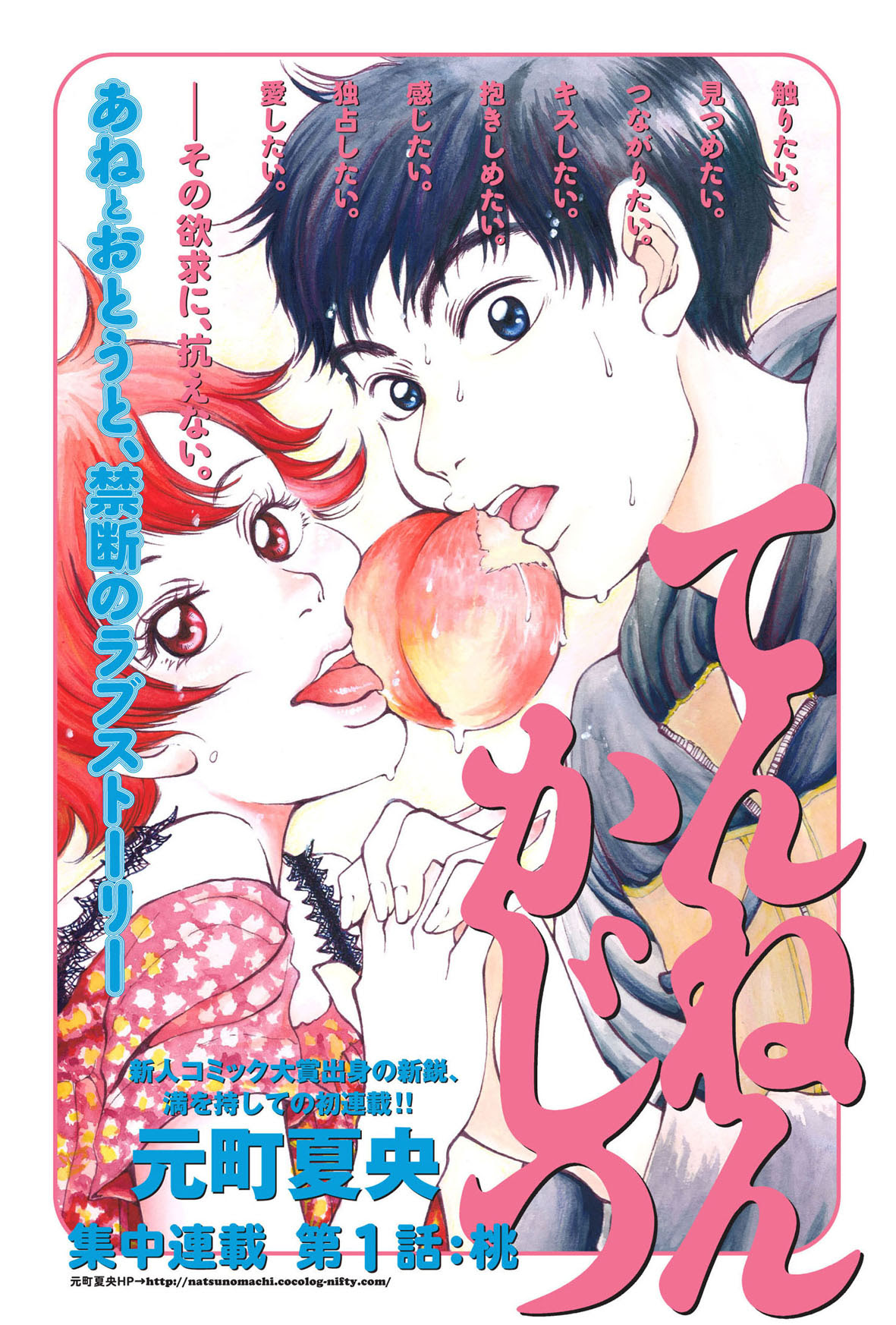 てんねんかじつ 夏の町