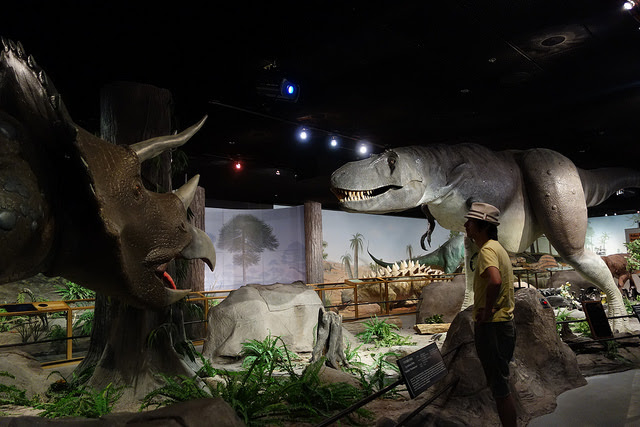 Enjoy a Las Vegas Family Vacation at These 6 Kid Friendly Enjoy a Las Vegas Family Vacation at These 6 Kid Friendly