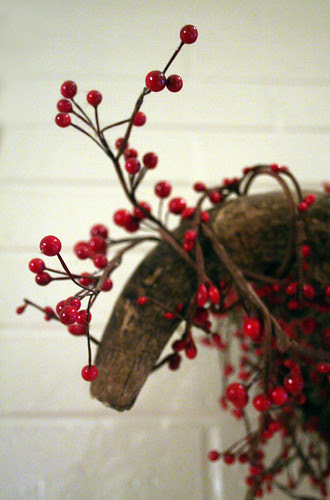 dressed up for xmas