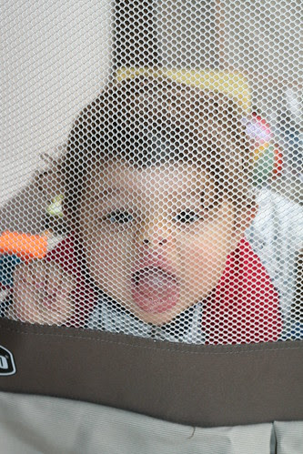 IMG_3753