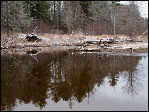 Dead River