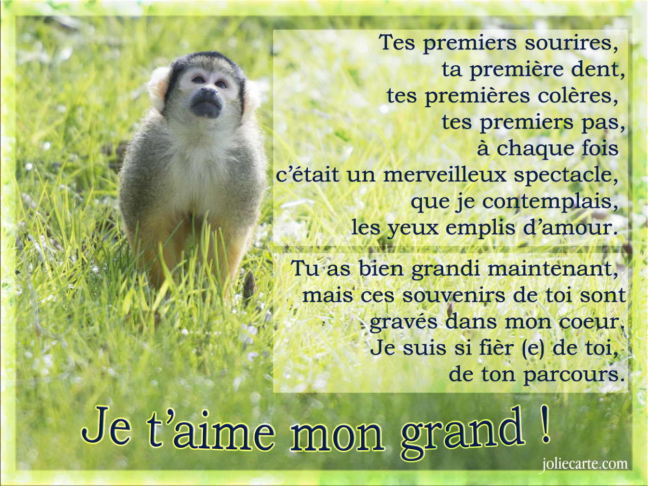 carte petit fils