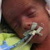 Greg and Elaine Smith fight to bring surrogate-born twins home from Mexico
