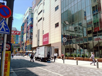 青山フラワーマーケット アキバスコープ 秋葉原店舗情報 秋葉原アルバイト情報 秋葉原求人情報