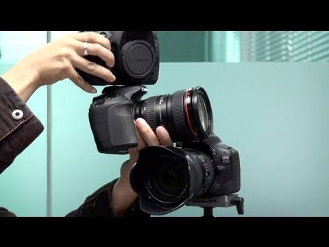 Canon 60D vs 550D vs 7D - which one is better?