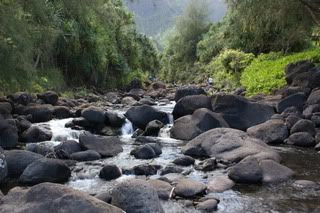 Fresh water river running into ocean