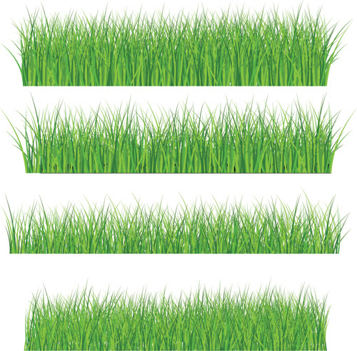 Download 14 Greengrass Vector PNG Free Download Images - Greengrass ...