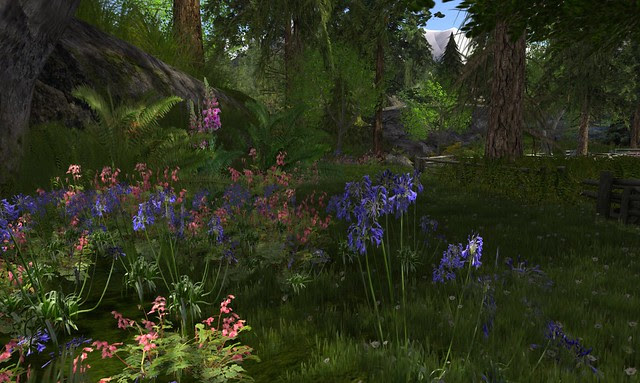 Calas Galadhon - Mirromere - 01