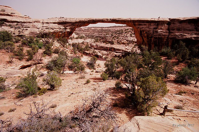 Owachomo Bridge