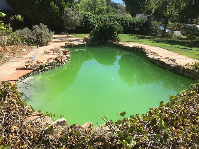 7+ What Is Cya In Pool Ideas