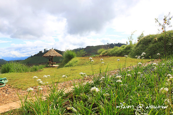 ม่อนแจ่ม