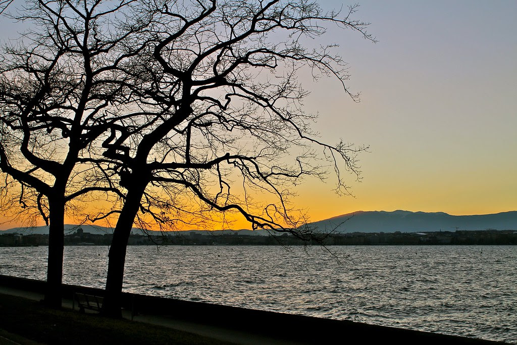 Geneve