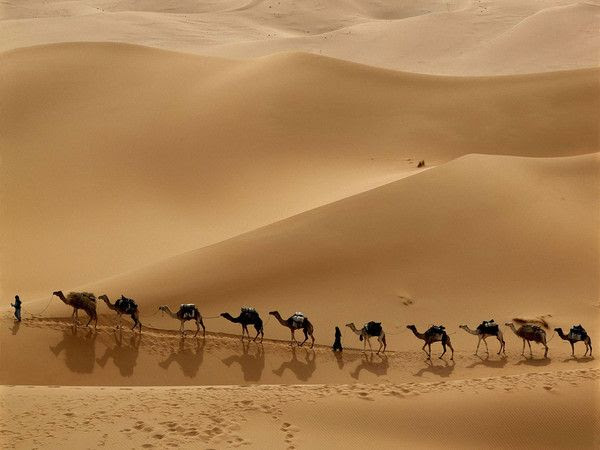 Le Desert Et Citations