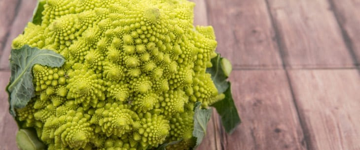 オシャレなブロッコリー ロマネスコの栽培方法 イタリア野菜 西洋野菜通販 アトラクティーボ