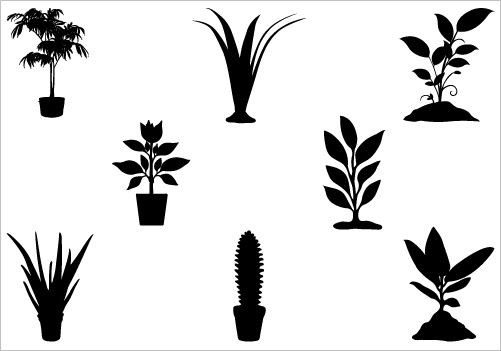 Download Plant Silhouette Vector at GetDrawings | Free download