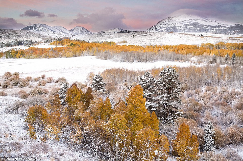 The Conway Summit Mountain Pass in California is located next to Yosemite National Park