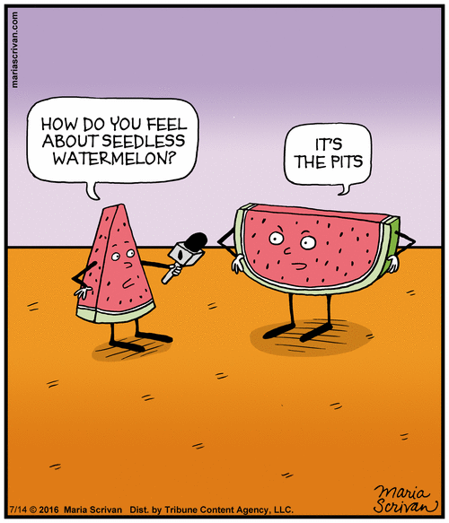 Melon Puns
