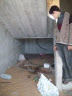 Sleeping under stairs