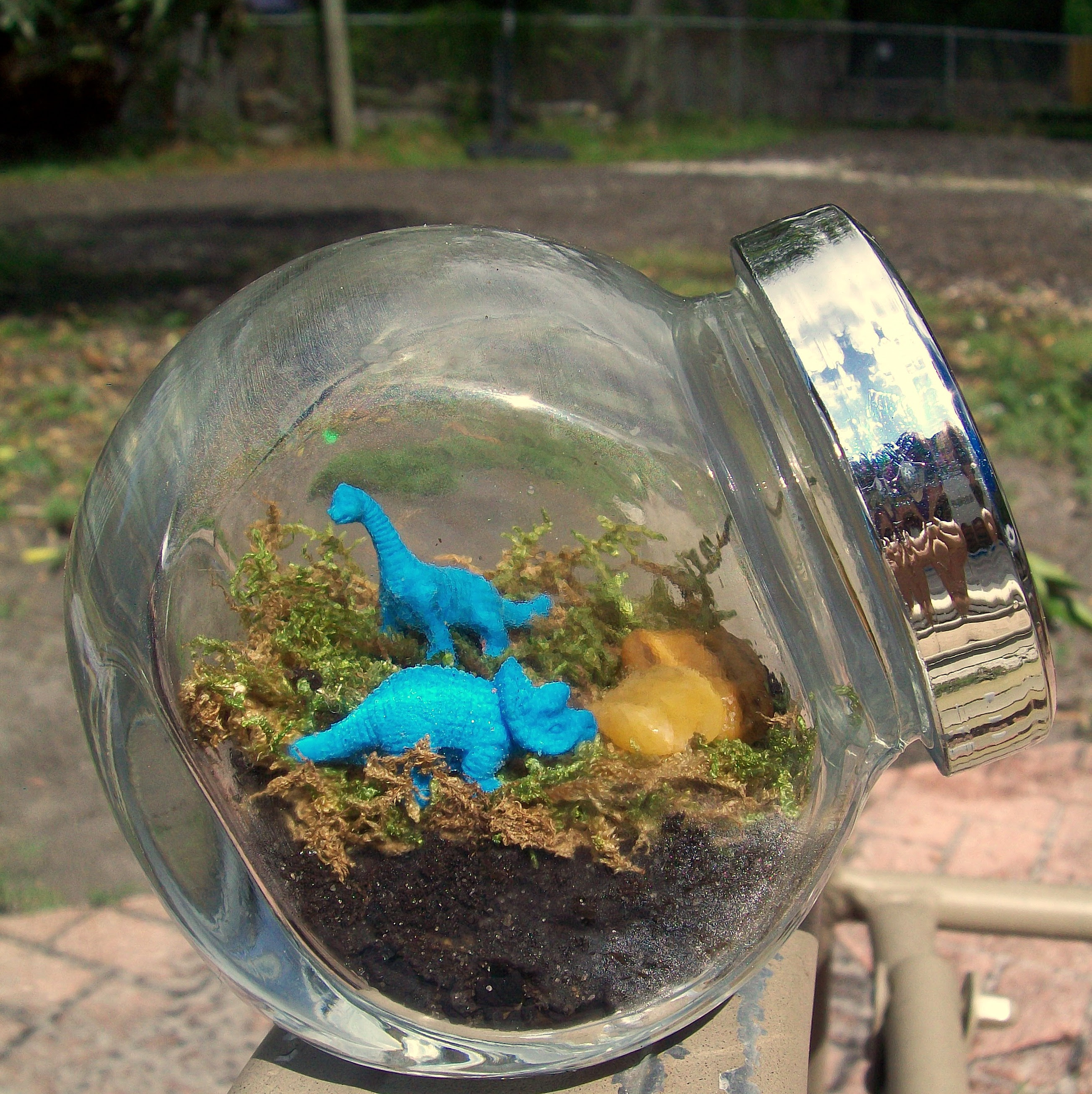 terrarium