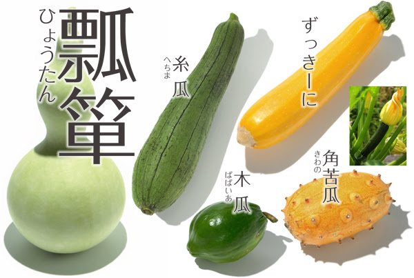 野菜02 ウリ うり 瓜 その2 やさい くだもの図鑑