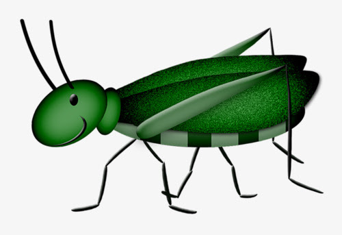 500x343 Cartoon Drawing Green Cricket, Cricket, Cartoon, Painting Png