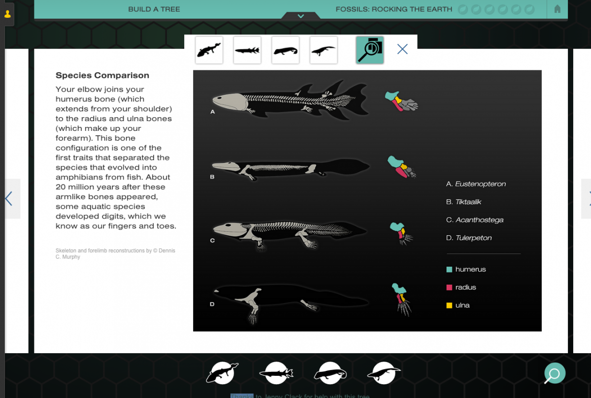 Nova Labs The Evolution Lab Mission 1 Answer Key Pdf ...