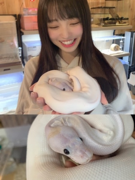 さあやだより 研究生 ブログ Ske48 Mobile