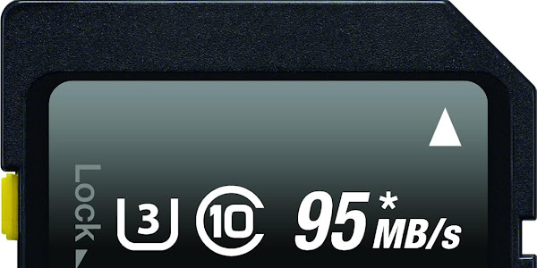 Sony 64GB High Performance Class 10 UHS-1/U3 SDXC up to 95MB/s Memory Card (SF64UZ/TQN)