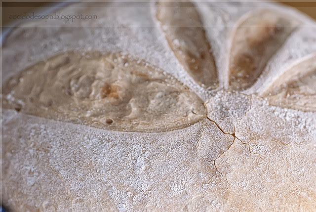 Pan blanco Linda Collister_1